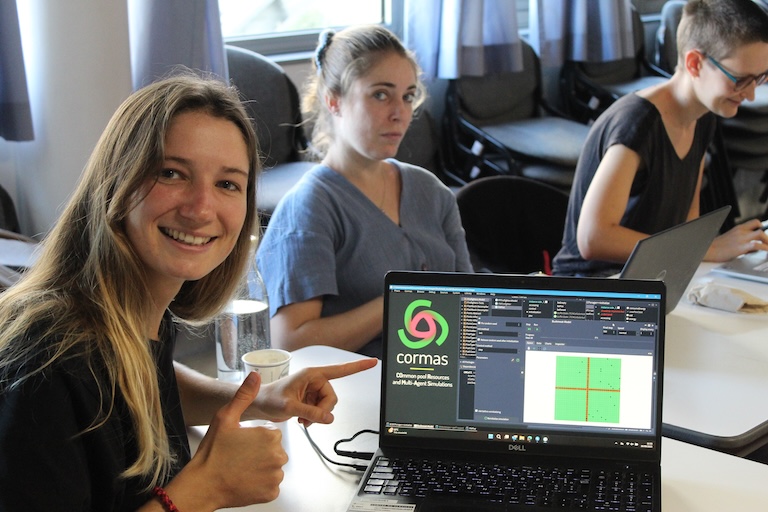 Agent-based model in action